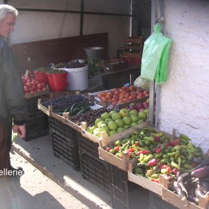 Herbstlicher Markt in Tirana