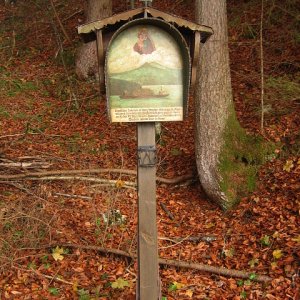 Unglück bei Holzarbeit