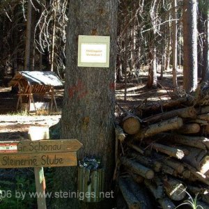 Holzlagern verboten