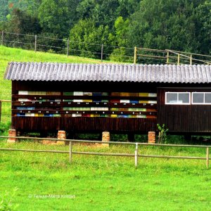 Bienenzucht Graz-Stattegg