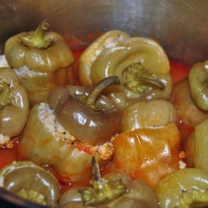 Gefüllte Paprika NACH dem Kochen