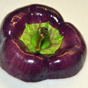 Kappe einer violetten Paprikaschote