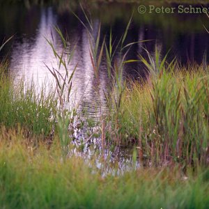 Am Göfelesee