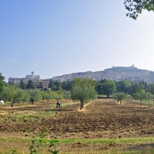 Blick auf Assisi von Rivotorto aus