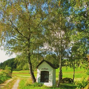 Den Toten im Moor