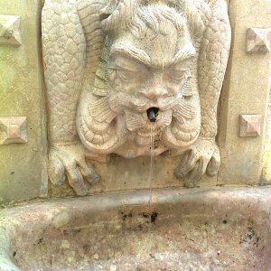 Ein Wassermann