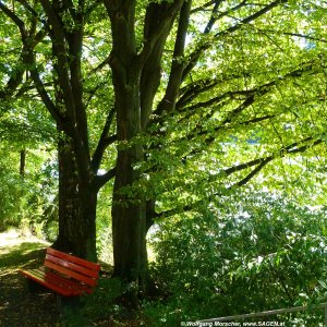 Traklpark, Innsbruck