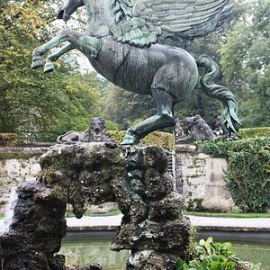 pegasus