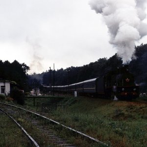 Dampflokomotive Shmalkovchiki