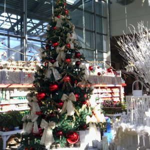 Oktober-Weihnachtsbaum