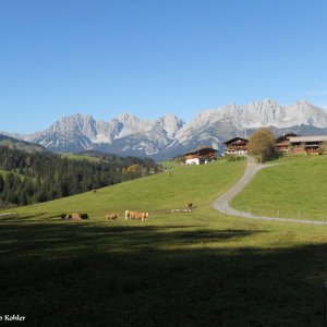 Erb, Wilder Kaiser