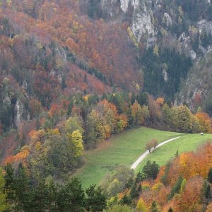 herbstlich gefärbt