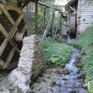 Wassermühlen im Gamsforst