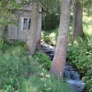 Wassermühlen im Gamsforst