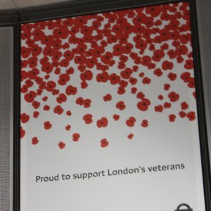 poppy day