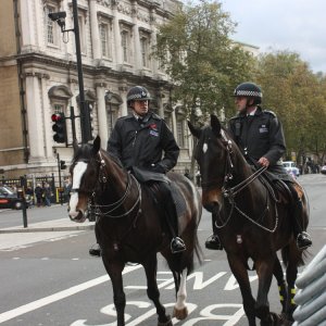 berittene polizei