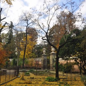 Botanischer Garten in Padua (It)