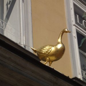 'Goldene Gans' in Klagenfurt