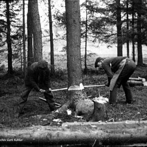 Holz fällen 1930