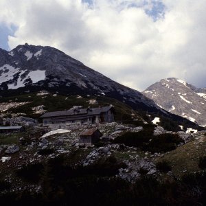 Beim Bergwandern in den Alpen