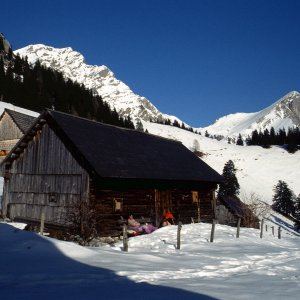 Medium 'Beim Bergwandern in den Alpen' in der Kategorie 'Bergsteigen, Bergwandern'