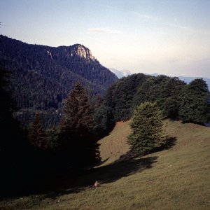 Beim Bergwandern in den Alpen
