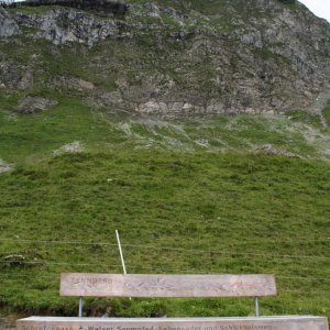 "Sprechende Bänke" am Tannberg (Auswahl)