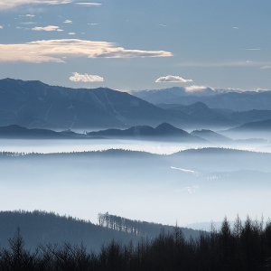 dem Nebel entflohen - ein prachtvoller Wintertag