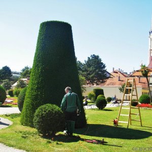 Garten-Arbeit