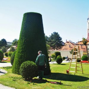 Garten-Arbeit