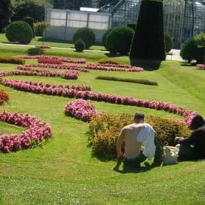 Garten-Arbeit