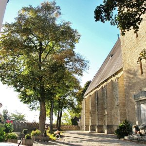 Kirchhof mit Wehrmauer