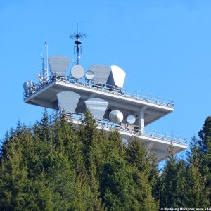 Antennenwald