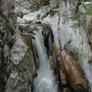 Tatzelwurm-Wasserfall