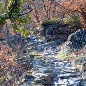 Am Sonnenberg