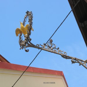 Zur Güldenen Waldschnepfe