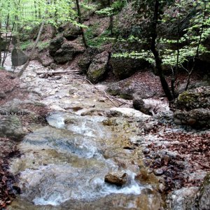 Naturpark Aigen, Salzburg