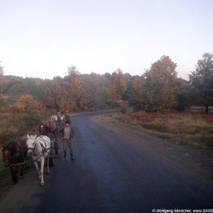 Strasse im Herbst, Rumänien