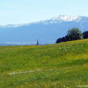 Maiwiese Oberperfuss Tirol