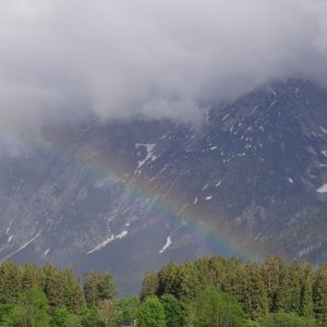 Regenbogen