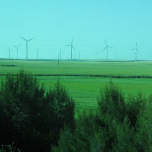 Windenergie-Parks