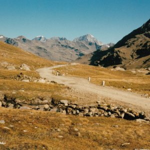 Gaviapass 1986