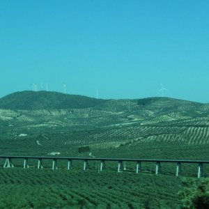 Viaducto de Archidona