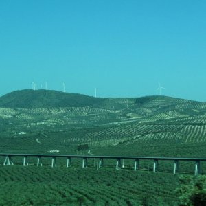 Viaducto de Archidona