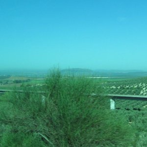 Viaducto de Archidona