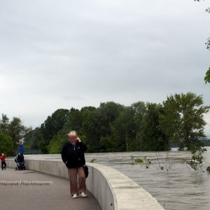 Hochwasser 2013