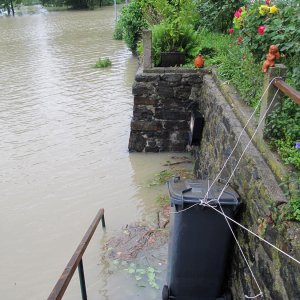 Fluchttendenzen