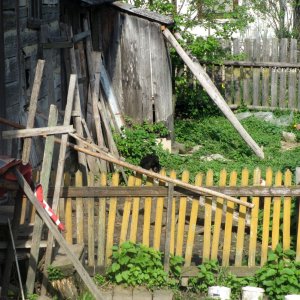 Gartenbereich bei einem der Häuser am Weg zum Moldaukloster Voronet