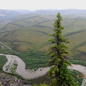 Dempster Highway, Yukon Territory, Canada