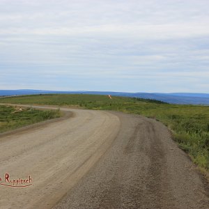 Dempster Highway, Yukon Territory, Canada